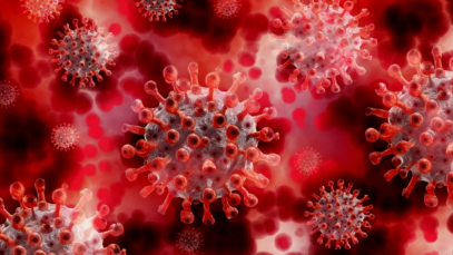 coronavirus1