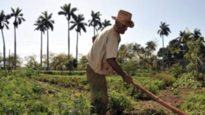 FEB41621-9A8A-4EBF-B7A9-E20FB94A4BEA