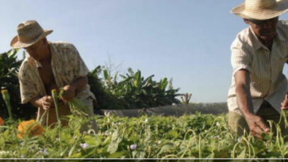 19B04AB6-4749-4709-9417-87A9D0E6073D