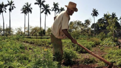 C4477708-2E26-42D7-89B4-97B6C61FBEBD