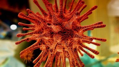 coronavirus