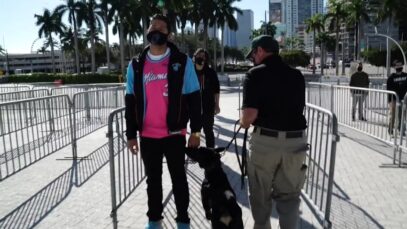 miami heat