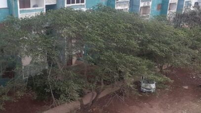 1613840472-activista-animalista-denuncia-vigilancia-policial-campana-difamacion-despues-reunion