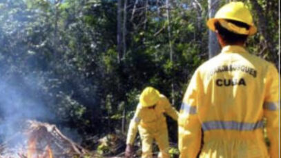 6E6A4081-BB06-4372-A312-0A890D664227