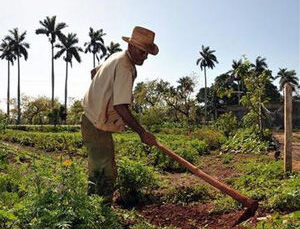 agricultor-cuba