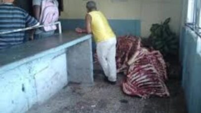 huesos carnicería