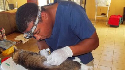 veterinario050221