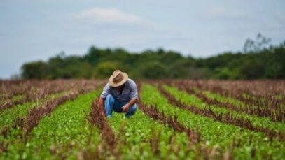 Agricultores foto referencial