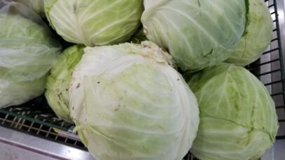 Campesino-cubano-denuncia-responsabilidad-de-Acopio-en-la-perdida-de-sus-productos-1024×768