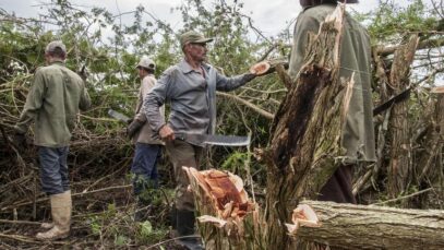 RPcienfuegos08- Foto ADN CUBA
