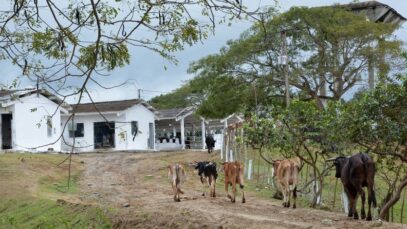 agricultura