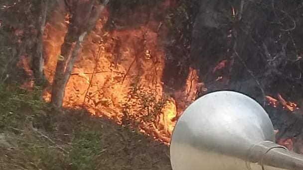 Combaten incendio en el parque Humboldt de Cuba