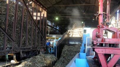 1611695342-cuba-comienza-producir-azucar-organica-exportar
