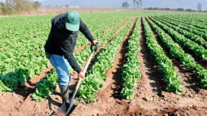 campesinoscovid270420 foto granma