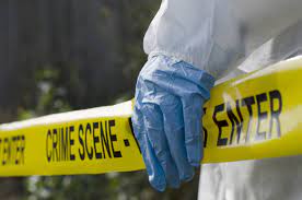 escena del crimen1