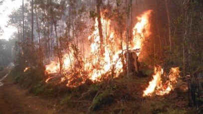 incendio