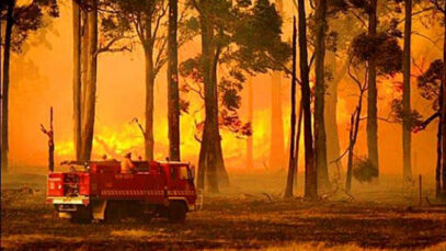 Incendio forestal en Cuba. Foto: Archivo de Cubadebate.