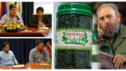 moringa-fidel