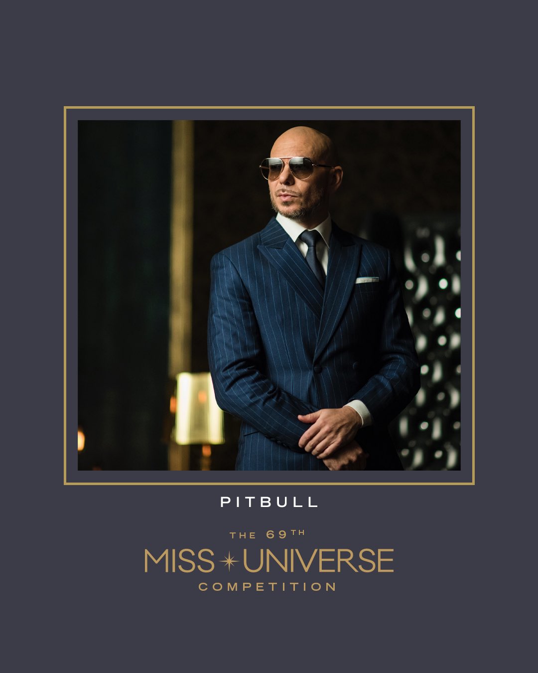 pitbull