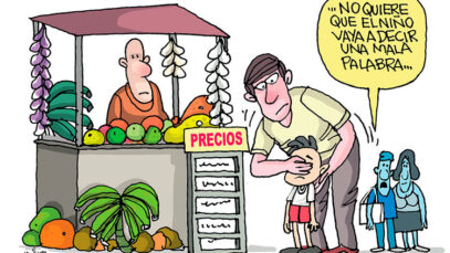 precios altos pienso