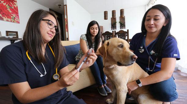 Cierre por Çoronavirus principal centro sanitario de La Habana