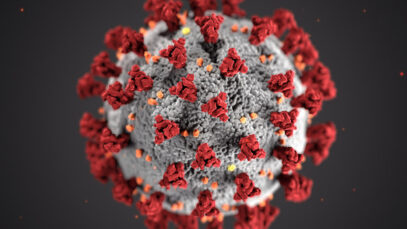 Coronavirus SARS-CoV-2 de CDC en Unsplash (1)