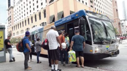 buses