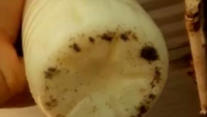 heces-fecales-leche-ninos